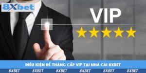 dieu-kien-de-thang-cap-vip-tai-nha-cai-8xbet